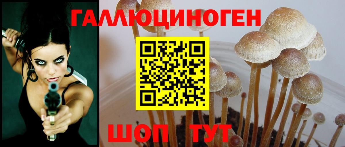 Псилоцибиновые грибы Psilocybine cubensis  Вход с VPN  Галлюциногенные грибы Magic Shrooms  Воскресенск 