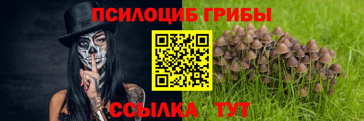 Псилоцибиновые грибы ЛСД Воскресенск